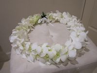 IMG_0029.JPG