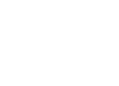 flower lei